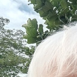 �����, �����, 67 ���