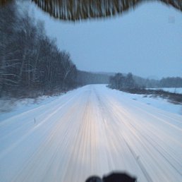 ���� ������, �����������, 43 ���� - ��������� 14 ������� 2026