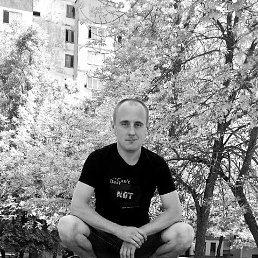 , 33, 
