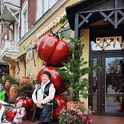 �����, , �����������