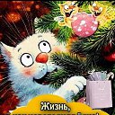 ���� �������, �����, 55 ��� - ��������� 2 ������� 2025 � ������ ���� ����������