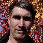 , 53 , 