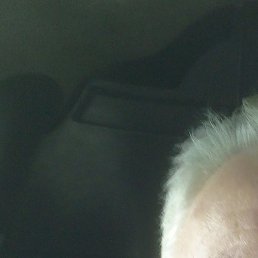 ������, �����������, 65 ���