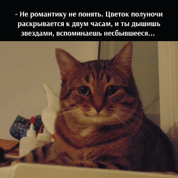       - 5  2025  22:28 - 3
