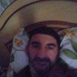 , 58, 