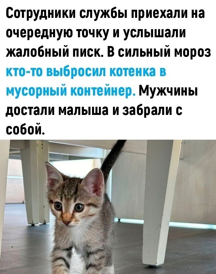 -   - 2