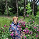 ���� ����, ������������, 55 ��� - ��������� 7 �������� 2025 � ������ ���� ����������