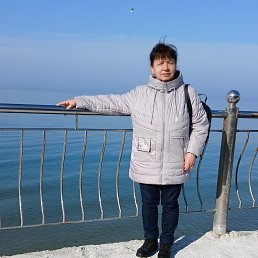 , 66, 