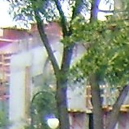 Tipcic, �����-���������, 47 ���