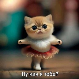 ���� ��������, �����������, 36 ��� - ��������� 23 ����� 2024