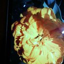 ���� ����, ��� - ��������� 2 �������� 2024