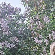 , 35 , -
