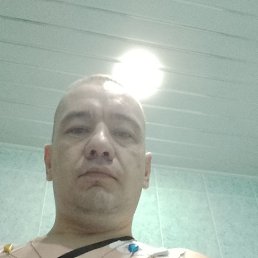 , 39, 