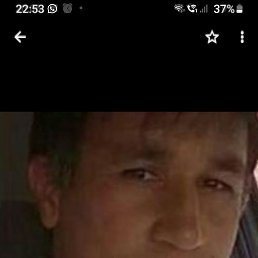 , 34, 