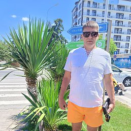 , 41, 