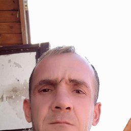 , 42, 