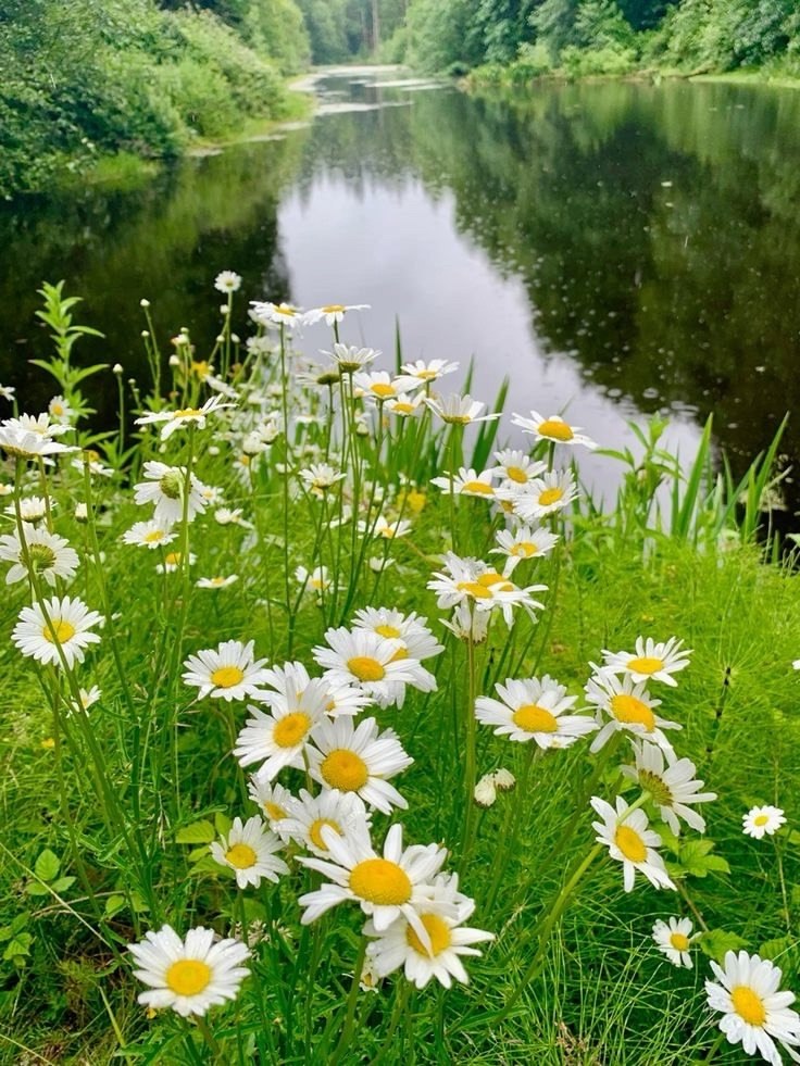      ,       ...     ?   ...