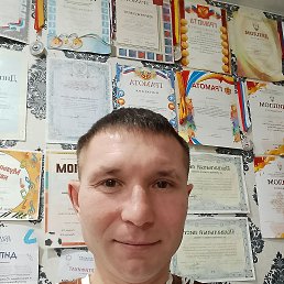 �����, 37 ���, ���������