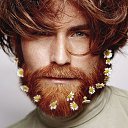 ���� ������, �����������, 46 ��� - ��������� 4 ������ 2025 � ������ ���� ����������