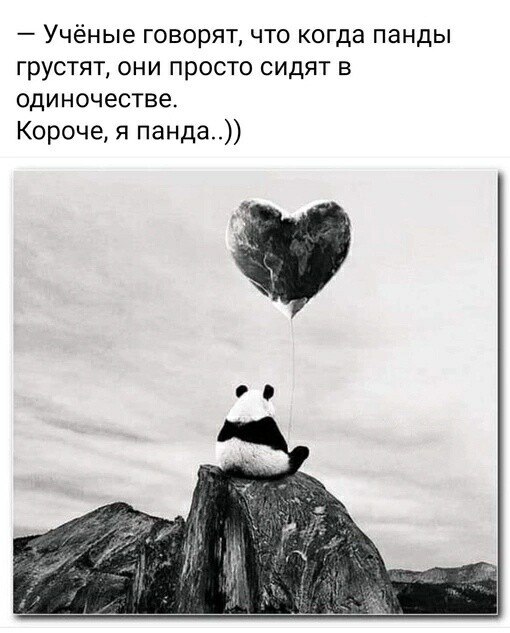 ***Victoria Viktorovna*** - 23  2023  02:03