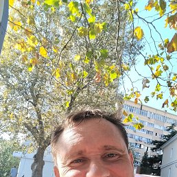 ���� ����, ������, 49 ��� - ��������� 11 ������ 2023