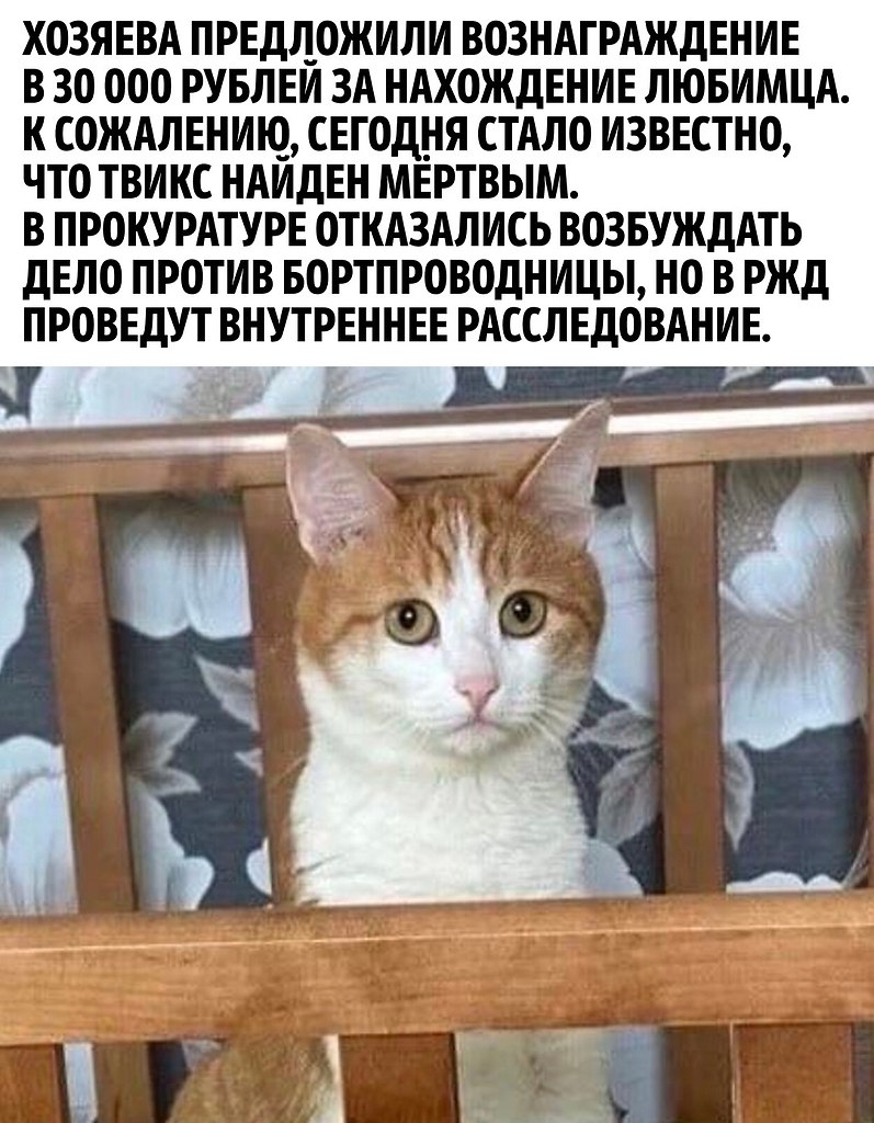       - 3