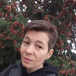 ., 38, 