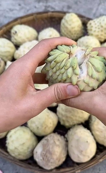 Какие вкусные экзотические фрукты из Азии.Это вам не арбузы с Краснодара - 2