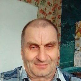 , 61, 