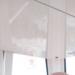 ����, ������, 41 ���