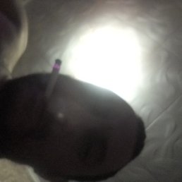 �����, ������, 38 ���