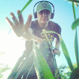 ���� �������, ������, 53 ���� - ��������� 13 ������ 2026