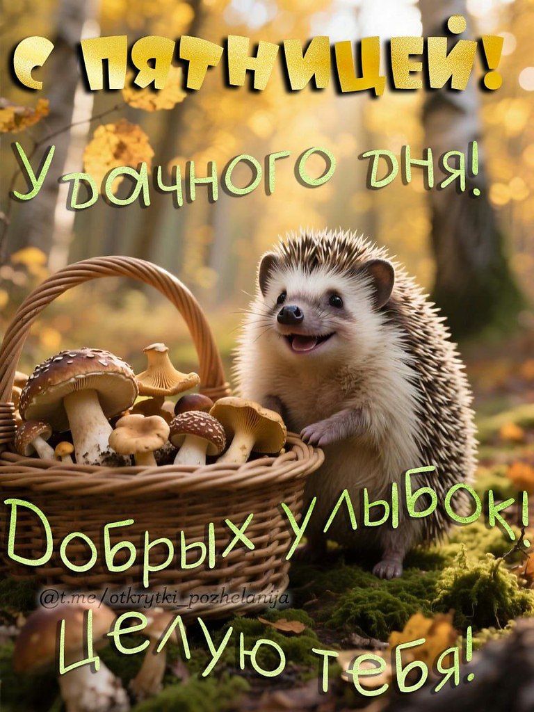 ПРИВЕТСТВИЯ и ПОЖЕЛАНИЯ, открытки на каждый день. - 24 октября 2025 в 16:12 - 4