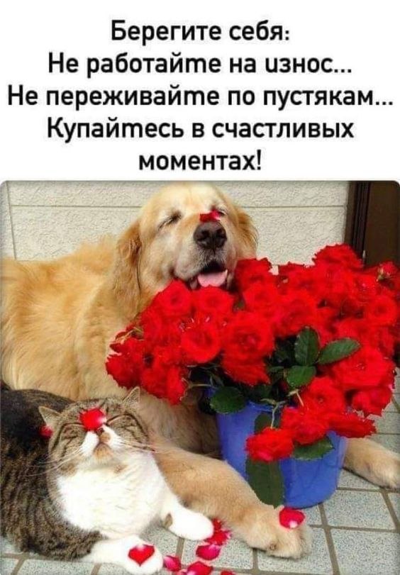 ₪╬═►  ||  ||  ◄═╬₪ - 13  2024  08:07