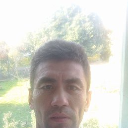 , 43, 