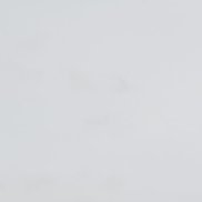 ����, 35 ���, ���������