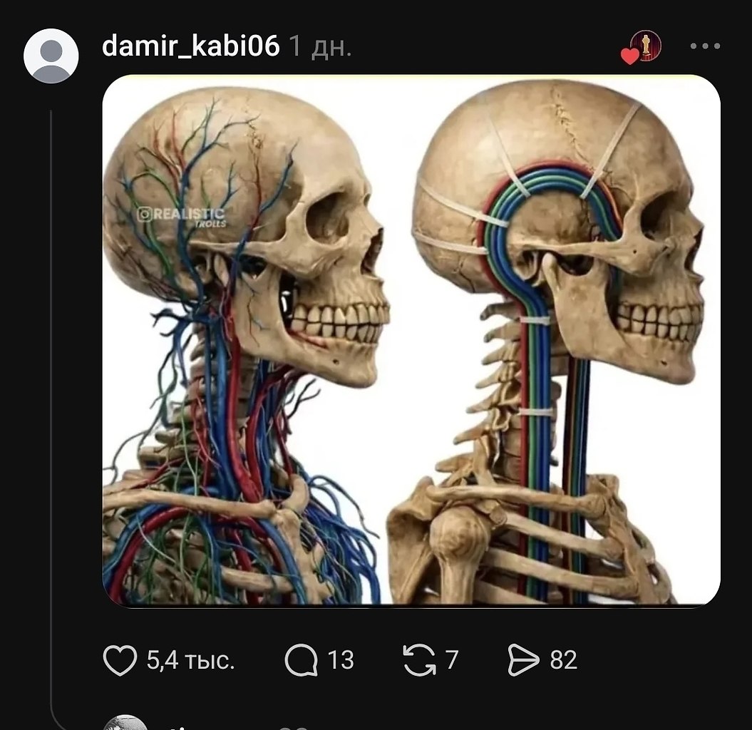 ������������� - 5
