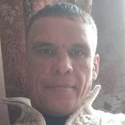 ������, ���������, 46 ���