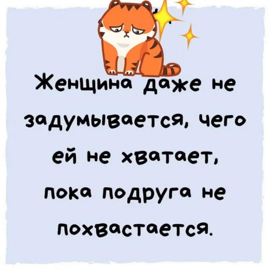 ☆ ☆ - 5  2025  08:20