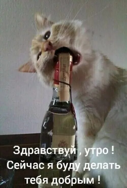   ! - 13  2025  11:09