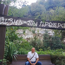 ������ +79082854620, ��������, 54 ����