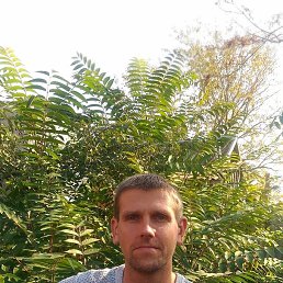 , 38, 