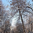 ���� �����, ������ - ��������� 19 ������ 2026 � ������ ���� ����������