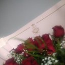 ���� ����, ������, 37 ��� - ��������� 28 ������� 2023 � ������ ���� ����������