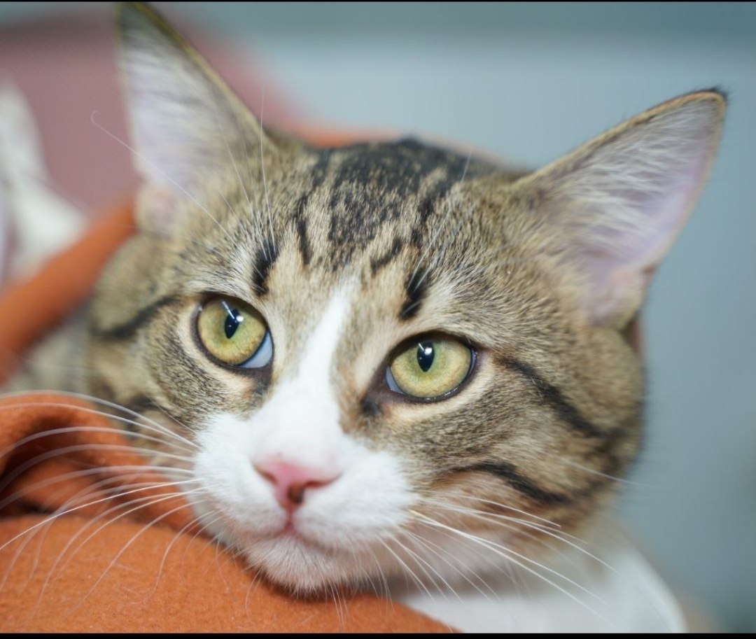 �����-���������.�������� � ������������ ������ ������� � ������ ����� �����!������� - ����� ... - 10