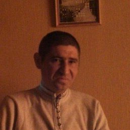 ��������, ������ ��������, 41 ���