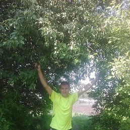 ������� ��������., ������, 45 ���