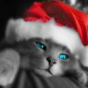 ���� �����, ����, 54 ���� - ��������� 9 ����� 2024 � ������ ���� ����������