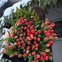 ���� �������, ������ - ��������� 8 ����� 2026 � ������ ������ ��������