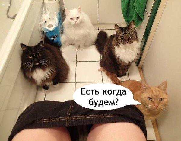 ���� ����� ����, � �� ������ - 3